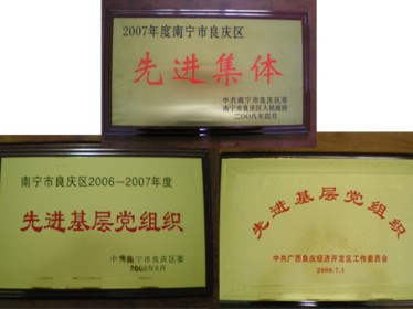 良慶區(qū)政府授予我公司及黨支部多項(xiàng)榮譽(yù)稱(chēng)號(hào)